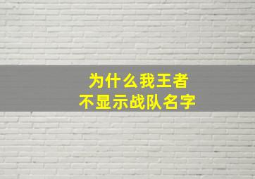 为什么我王者不显示战队名字