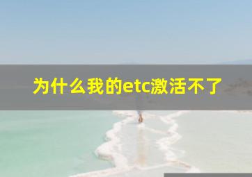 为什么我的etc激活不了