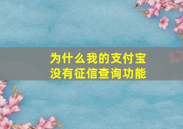 为什么我的支付宝没有征信查询功能