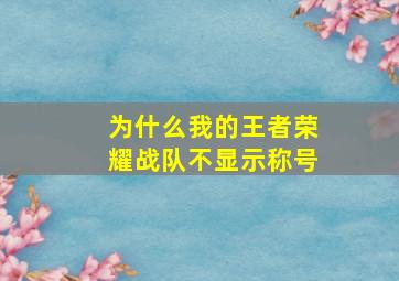 为什么我的王者荣耀战队不显示称号