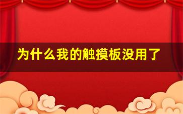 为什么我的触摸板没用了