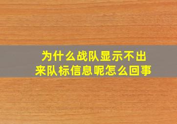 为什么战队显示不出来队标信息呢怎么回事