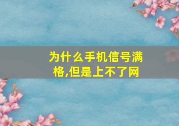 为什么手机信号满格,但是上不了网