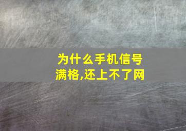 为什么手机信号满格,还上不了网