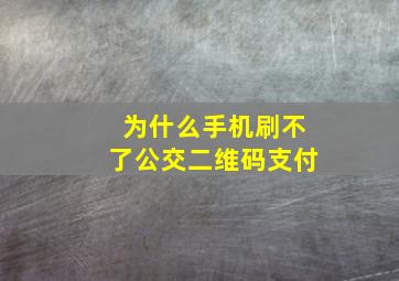 为什么手机刷不了公交二维码支付