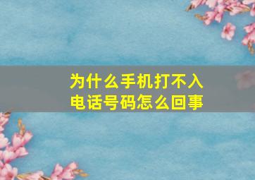 为什么手机打不入电话号码怎么回事