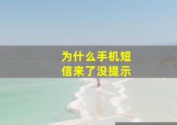 为什么手机短信来了没提示