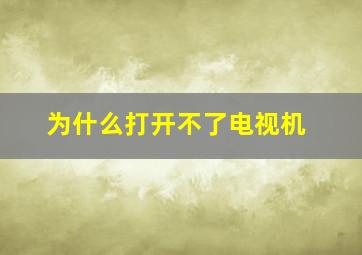 为什么打开不了电视机