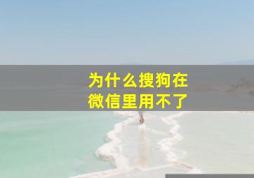 为什么搜狗在微信里用不了