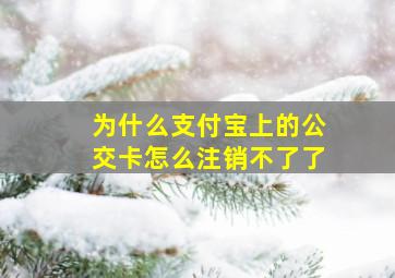 为什么支付宝上的公交卡怎么注销不了了