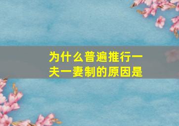 为什么普遍推行一夫一妻制的原因是