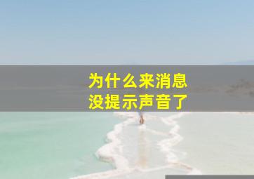 为什么来消息没提示声音了