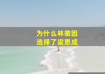 为什么林徽因选择了梁思成