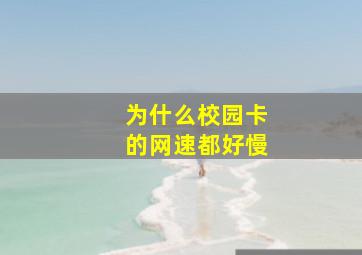 为什么校园卡的网速都好慢