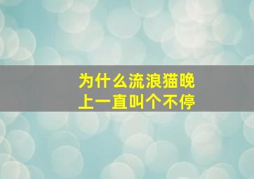 为什么流浪猫晚上一直叫个不停