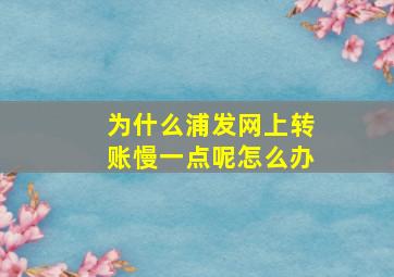 为什么浦发网上转账慢一点呢怎么办