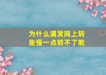 为什么浦发网上转账慢一点转不了呢