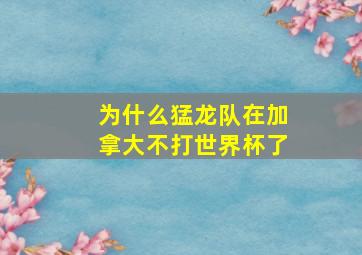 为什么猛龙队在加拿大不打世界杯了