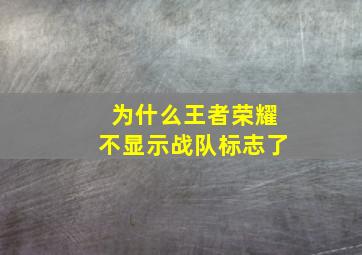 为什么王者荣耀不显示战队标志了