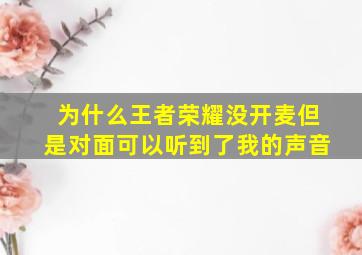 为什么王者荣耀没开麦但是对面可以听到了我的声音