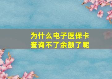 为什么电子医保卡查询不了余额了呢