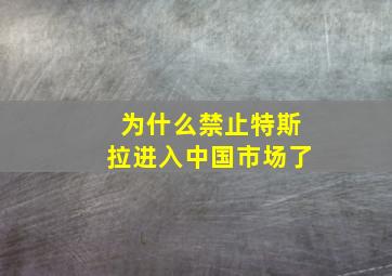 为什么禁止特斯拉进入中国市场了