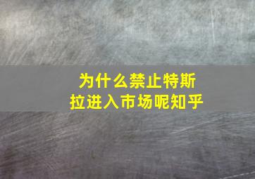 为什么禁止特斯拉进入市场呢知乎