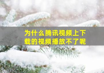 为什么腾讯视频上下载的视频播放不了呢