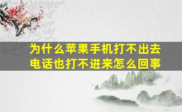 为什么苹果手机打不出去电话也打不进来怎么回事