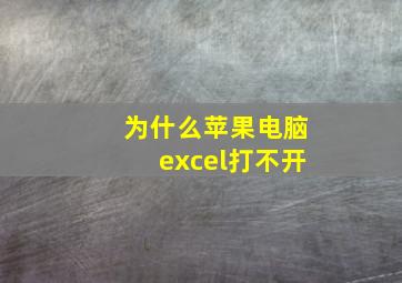 为什么苹果电脑excel打不开