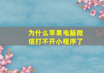 为什么苹果电脑微信打不开小程序了