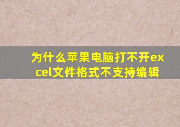 为什么苹果电脑打不开excel文件格式不支持编辑