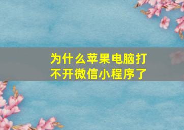 为什么苹果电脑打不开微信小程序了