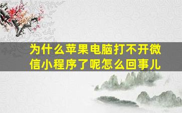 为什么苹果电脑打不开微信小程序了呢怎么回事儿