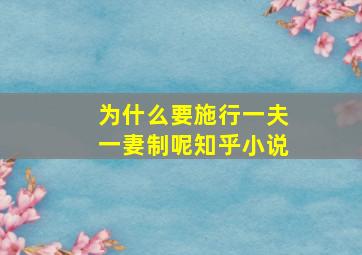 为什么要施行一夫一妻制呢知乎小说