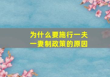 为什么要施行一夫一妻制政策的原因