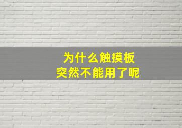 为什么触摸板突然不能用了呢