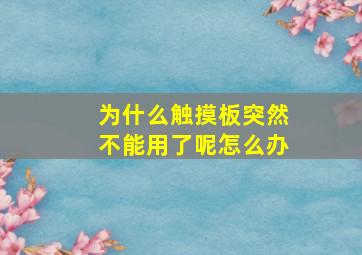 为什么触摸板突然不能用了呢怎么办