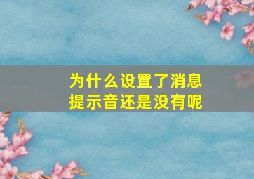 为什么设置了消息提示音还是没有呢