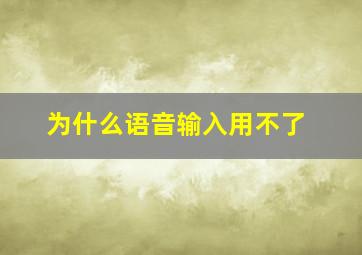 为什么语音输入用不了