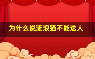 为什么说流浪猫不能送人