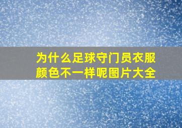 为什么足球守门员衣服颜色不一样呢图片大全