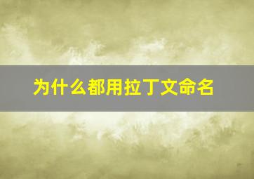 为什么都用拉丁文命名