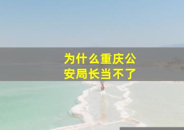 为什么重庆公安局长当不了