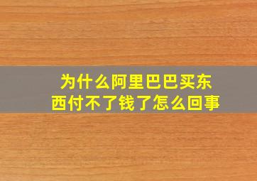 为什么阿里巴巴买东西付不了钱了怎么回事