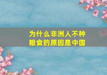 为什么非洲人不种粮食的原因是中国