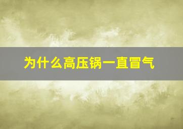 为什么高压锅一直冒气