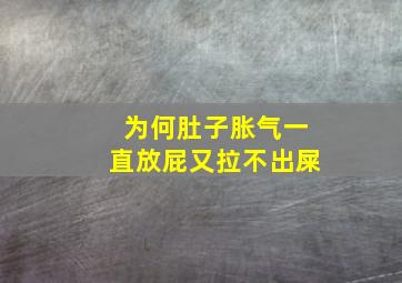 为何肚子胀气一直放屁又拉不出屎