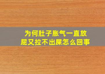 为何肚子胀气一直放屁又拉不出屎怎么回事