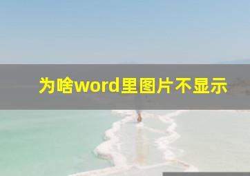 为啥word里图片不显示